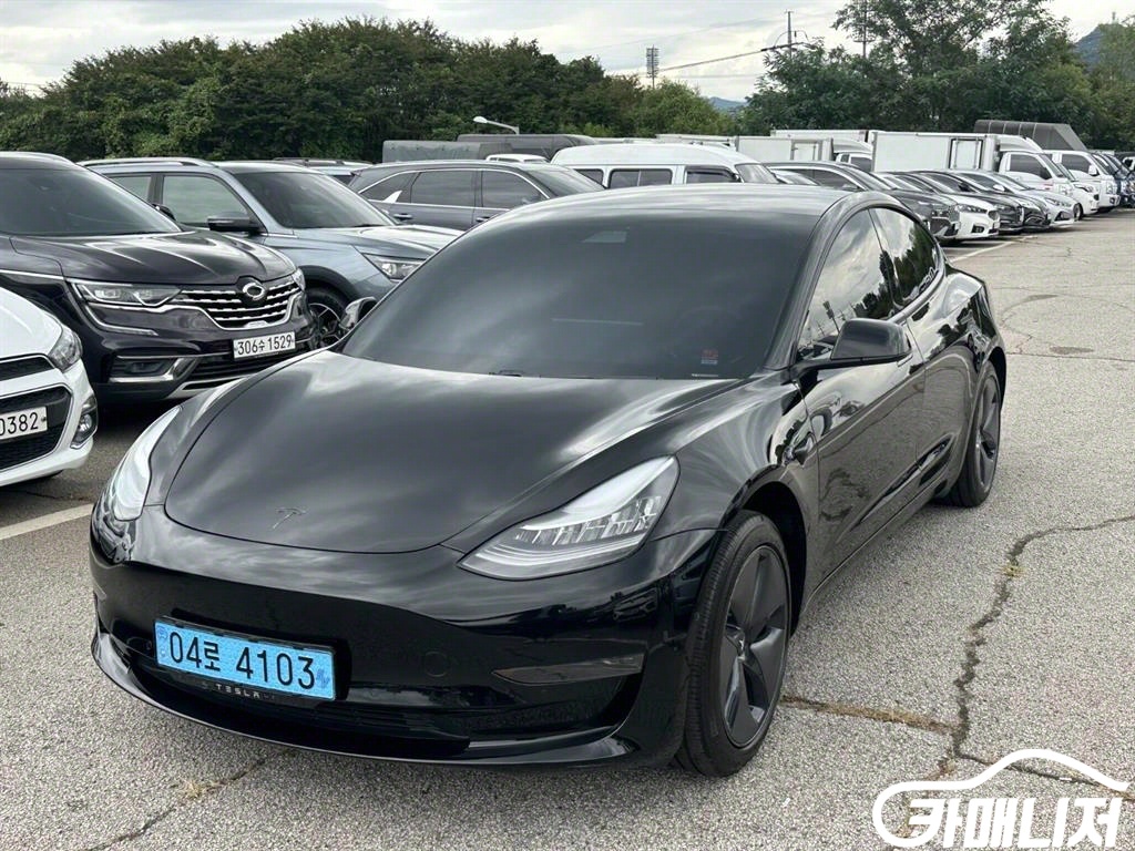 Tesla Model 3 Standard Reinji Peulreoseu