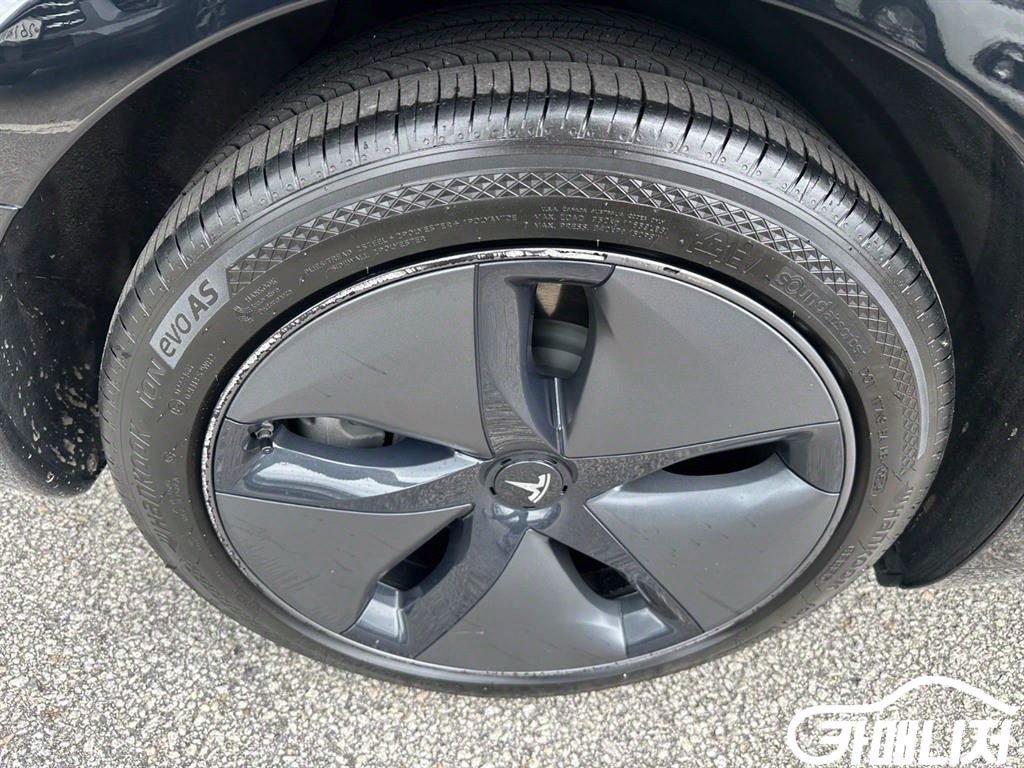 Tesla Model 3 Standard Reinji Peulreoseu thumbnail 14