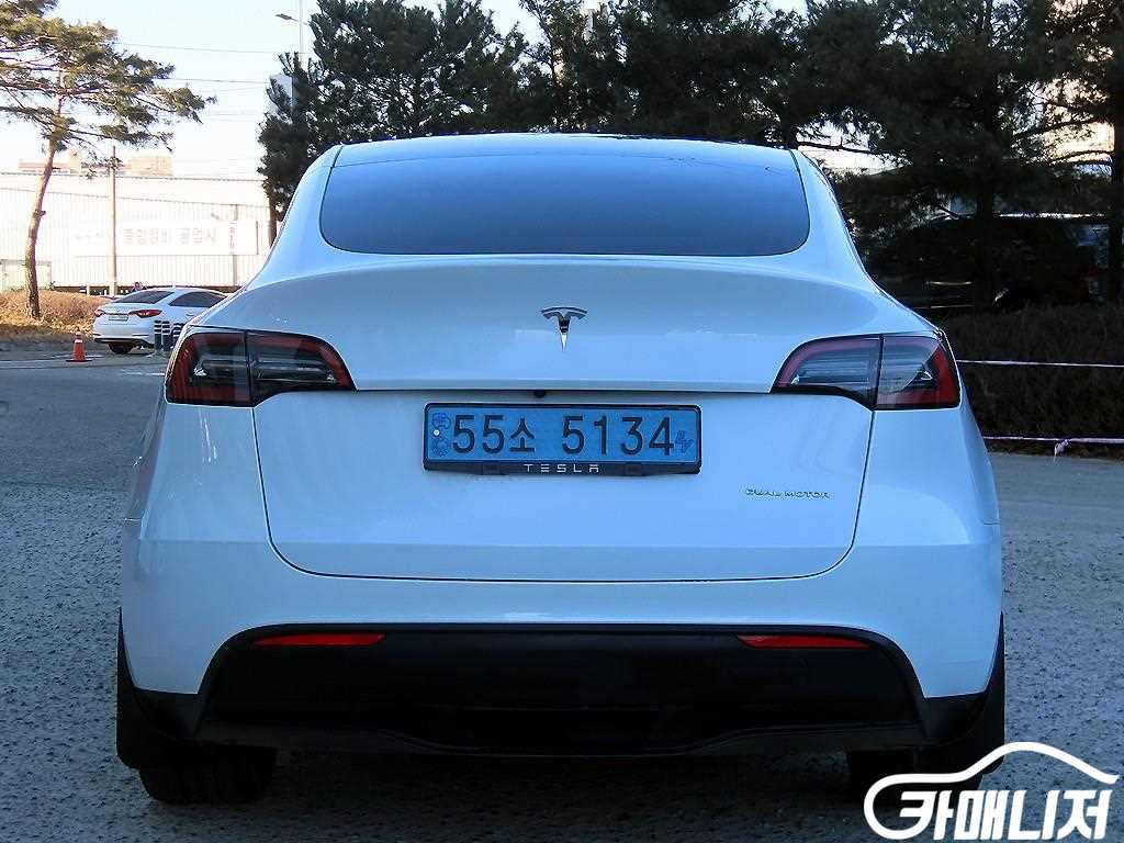 Tesla Model Y Rong Reinji thumbnail 4