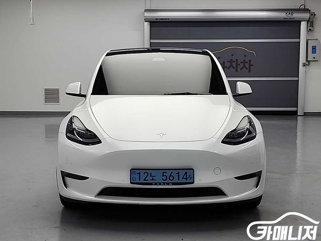 Tesla Model Y Rong Reinji thumbnail 2