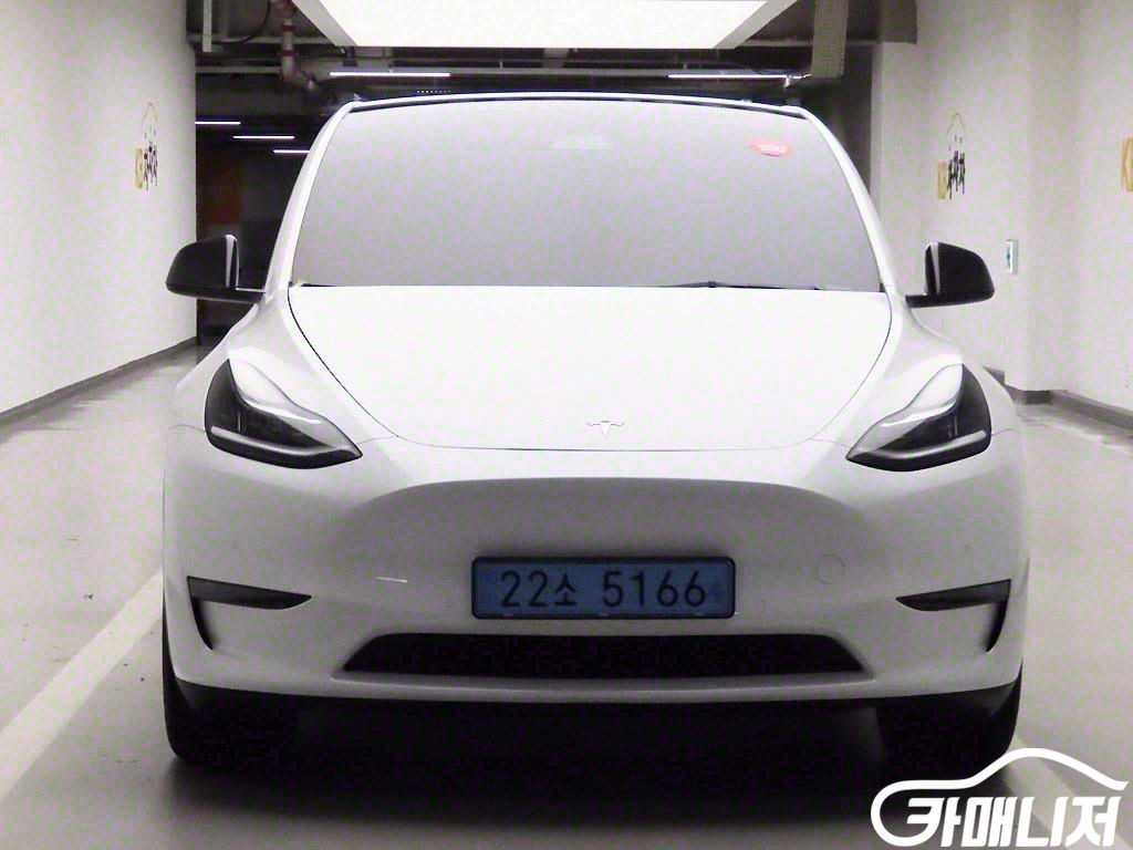 Tesla Model Y Standard Reinji