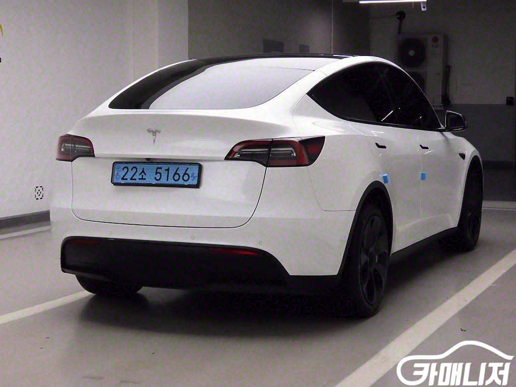 Tesla Model Y Standard Reinji thumbnail 4