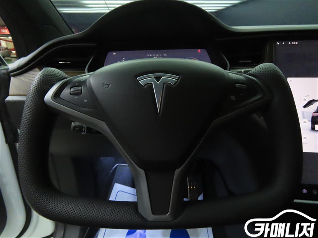 Tesla Model X 75D thumbnail 8